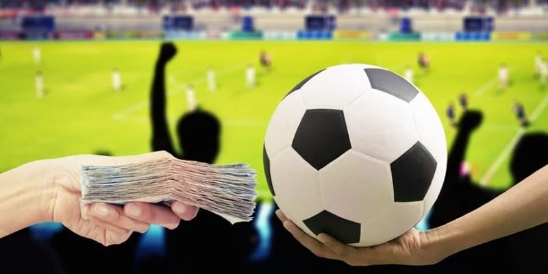 Hướng dẫn cách đặt cược kèo bóng đá hiệu quả